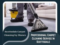 SCOTTSDALE CARPET CLEANING BY SHAWN image 1